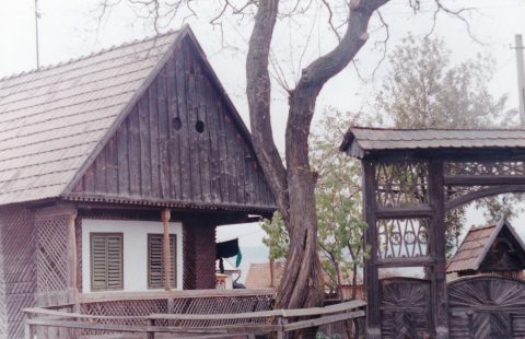 IMG_20210601_00011 (25)