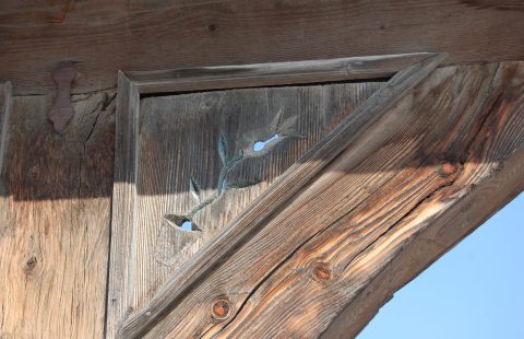 a tulipan festve van