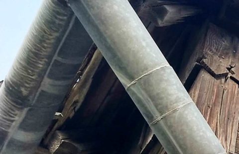 IMG_20200916_085907a