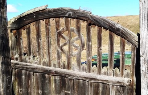 IMG_20201220_110705sdsdd